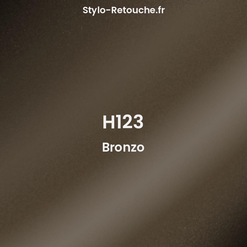 Stylo Retouche Kawasaki H123 Bronzo - Stylo-Retouche.fr