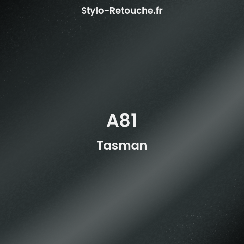 Apprêt Peinture Automobile Vernis Pour BMW Tasman A81 Par 400Ml